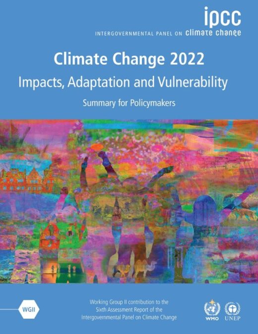 제6차 평가보고서 WG2 보고서. /IPCC제공