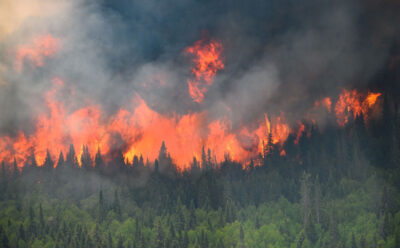 지난달 초 캐나다 서부지역에서 발생한 산불은 동부 퀘백주를 중심으로 사그라들지 않고 있다. /로이터 연합뉴스
