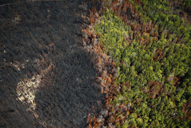 22일(현지 시각) 캐나다 탄탈론 지역의 숲이 산불로 잿더미로 변했다. 캐나다 산불은 지난 5월부터 전국에 동시다발로 발생해 석달째 이어지고 있다. /AFP 연합뉴스