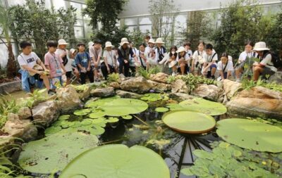 ‘2023 UN생물다양성유스포럼’이 25~26일 천리포수목원에서 열렸다. 참가자들이 연못 생태를 관찰하고 있다. /에코맘코리아