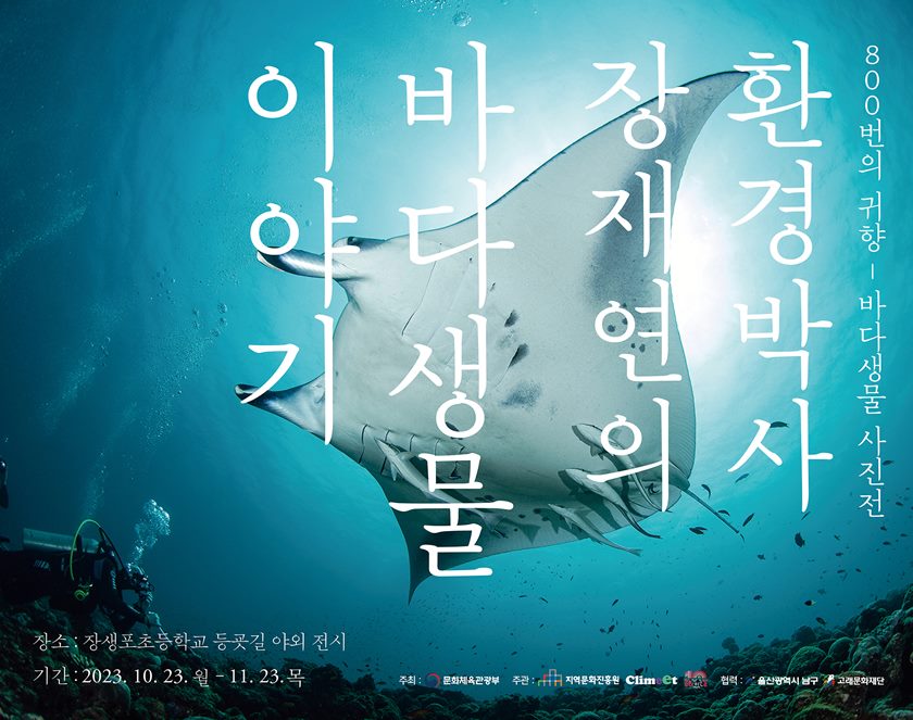 숲과나눔 ‘800번의 귀향-바다생물 이야기’ 사진전 포스터. /숲과나눔