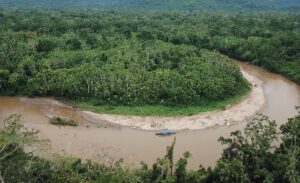 브라질 정부가 아마존 열대우림에 3개의 대형 수력발전소가 건설하기로 했다. 이번 결정으로 최소 610㎢ 면적의 열대우림이 수몰될 것으로 전망된다. /조선DB